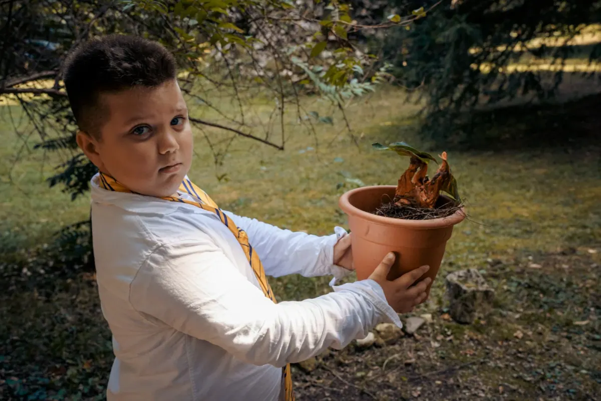 Materia magica: Cura delle Creature Magiche